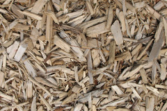 biomass boilers Syre